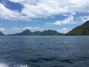 ��������Σ���� ��¡���Ҳ����ΰ��ò���