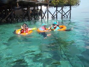 ��������Σ���� ��¡���Ҳ����ΰ��ò���