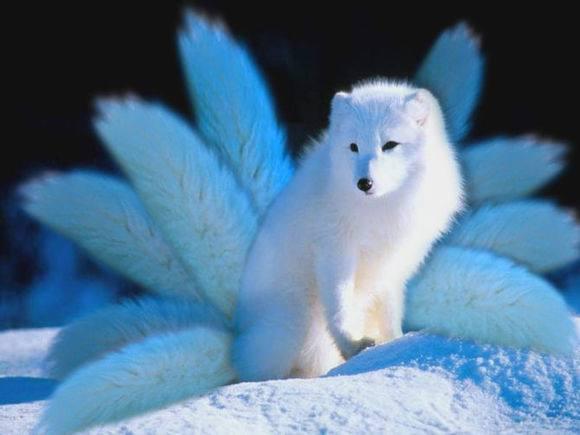 �����ɵ�����ʲô���� �ݺ��ɵĺô��뻵������Щ