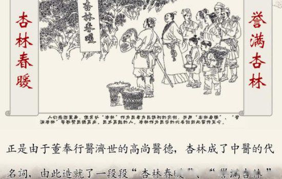 杏林指什么职业 医生:董奉的杏林故事启示和感悟