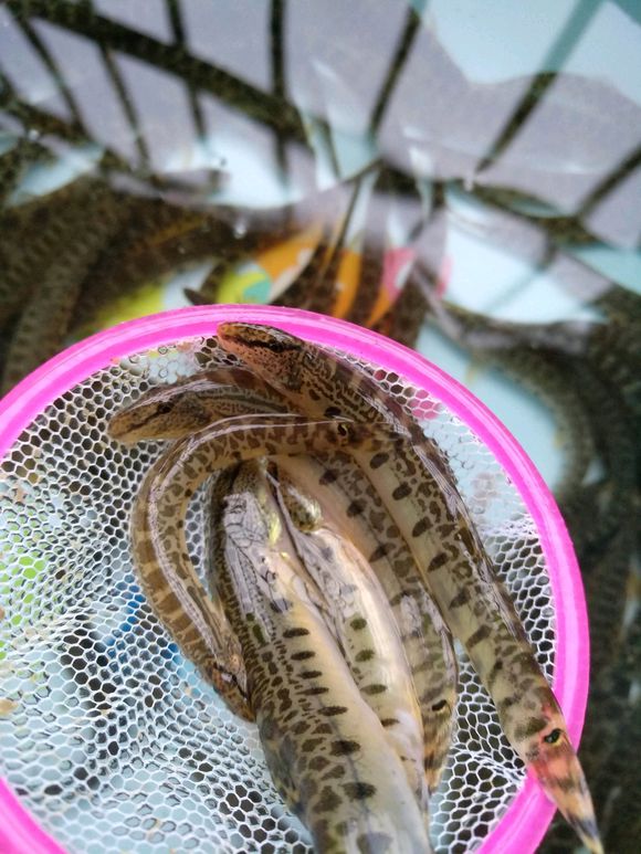 �������ķ�ˮԢ������� ��ˮ����������ˮ����ʲô