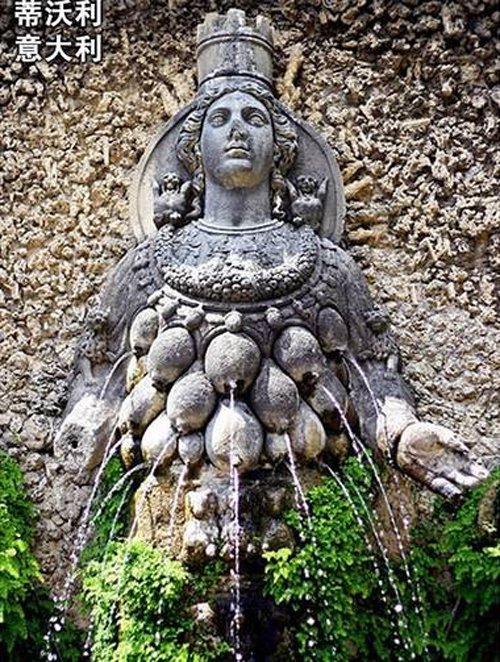 ��������ʲô��˼ ���˾������뼷���Ĳ���