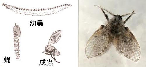 ������Ķ��������˺��� ������Ѫ��Ϊʲô�����������Ϸ�