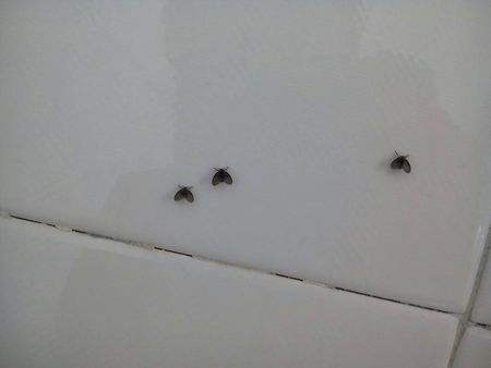 ������Ķ��������˺��� ������Ѫ��Ϊʲô�����������Ϸ�