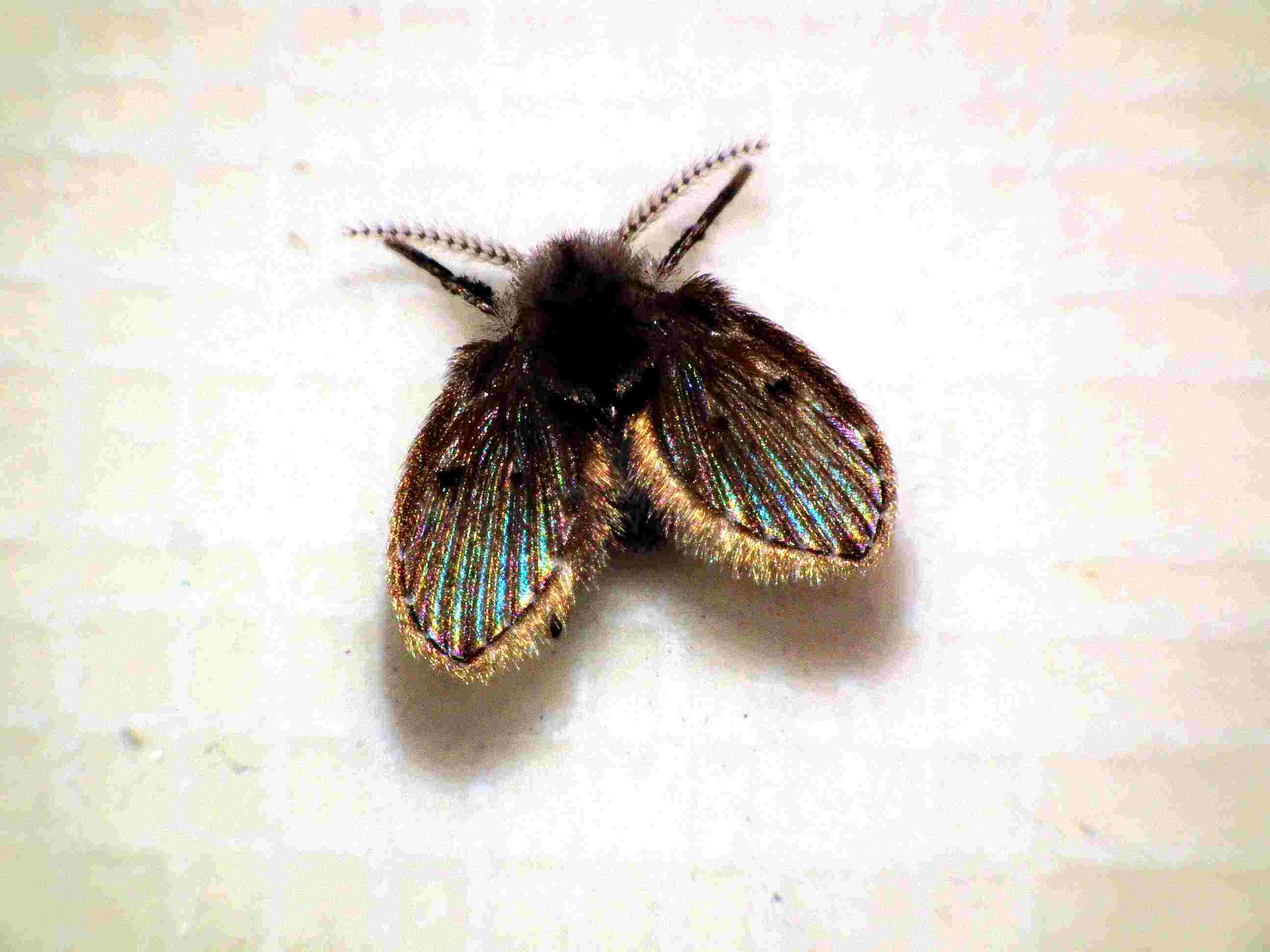 ������Ķ��������˺��� ������Ѫ��Ϊʲô�����������Ϸ�