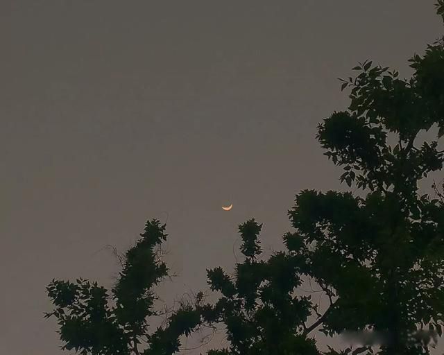 Ű�ľ�����¼ 15��Ű�ĵ���������Ķ̾����Ű��