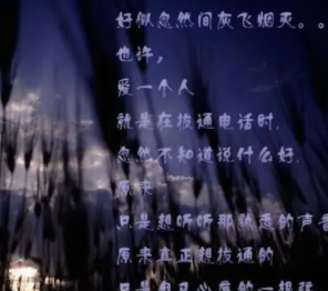 �����ػ������� ֻΪһ�˷���ר���������(���벻��)