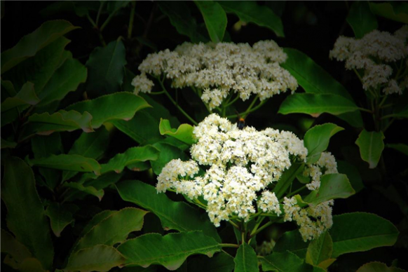 ʯ骻�Ϊʲô��ô�� ��å������ͷ��Ϊʲô��Ҫ��