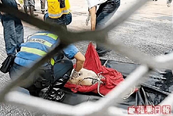 ���˴���׮��ʲô��˼ �׼���ʽ������׮�¼���ʵ������ȫ