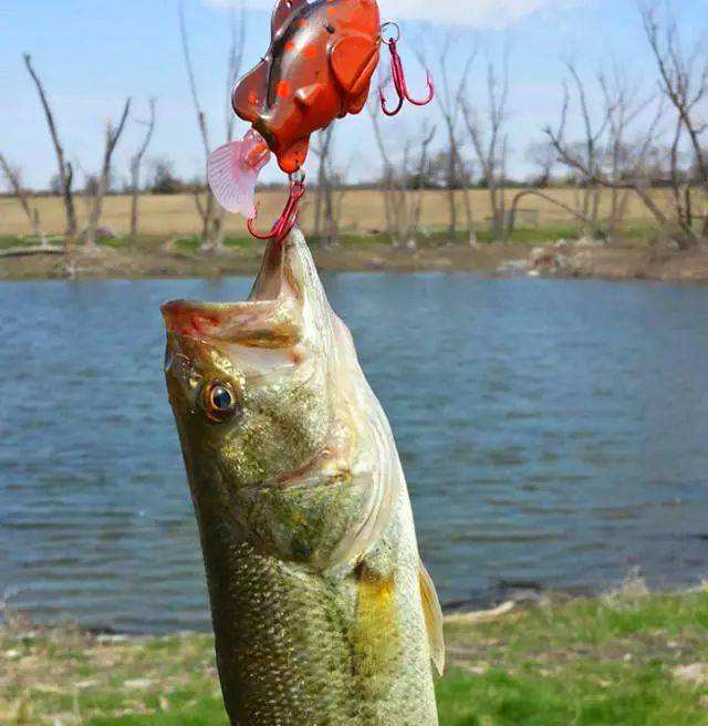 ������˻᲻���ⱨӦ �����٣��������Ϊʲô����