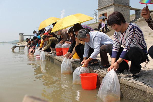 ������˻᲻���ⱨӦ �����٣��������Ϊʲô����