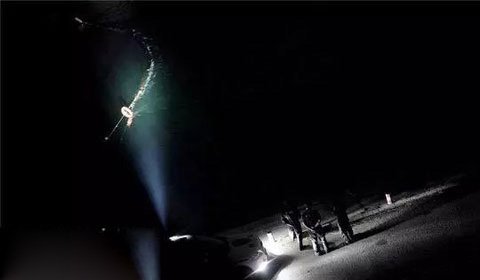 ֣�ݿս�������������� ��ĳ�����������Ƭ