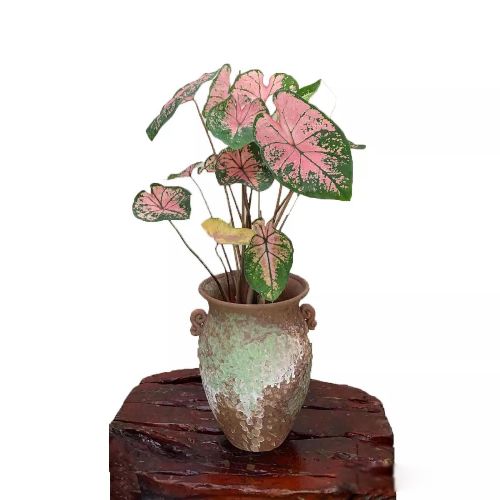 ���˷��������������� �޷�����������ֿ��ֺ�����