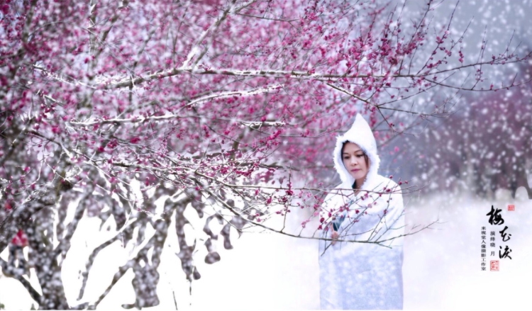 ÷���������ʲô˼����� �������֣�÷�����ԭ����˭����