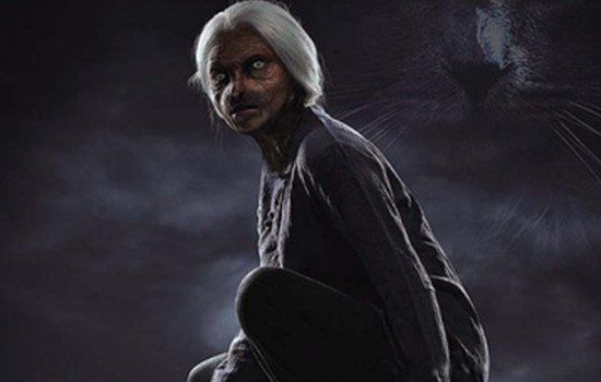 è����̫̫�Ĺ����� ��С����������è����̫̫�Ĺ��¼���