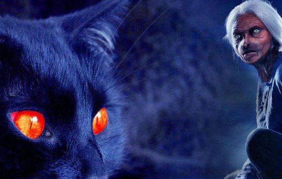 è����̫̫�Ĺ����� ��С����������è����̫̫�Ĺ��¼���