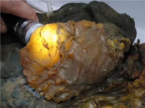 ̫����ʲô����ֵǮ�� ʮ��ϡ�У�̫���Ƕ��ﻹ��ֲ��