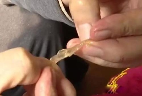 ̫����ʲô����ֵǮ�� ʮ��ϡ�У�̫���Ƕ��ﻹ��ֲ��