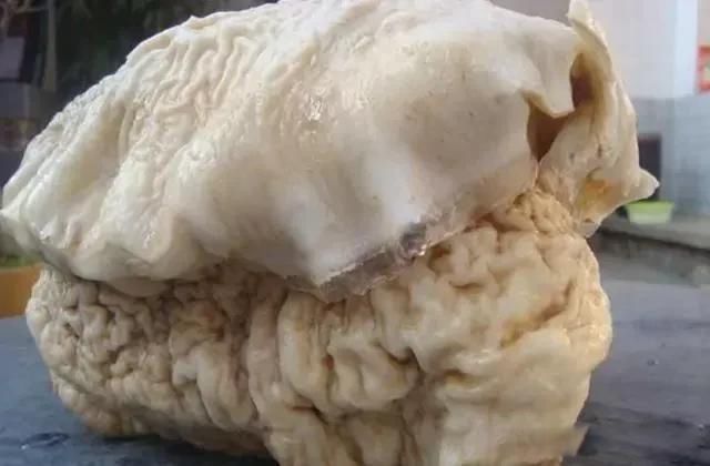 ̫����ʲô����ֵǮ�� ʮ��ϡ�У�̫���Ƕ��ﻹ��ֲ��