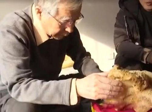 ̫����ʲô����ֵǮ�� ʮ��ϡ�У�̫���Ƕ��ﻹ��ֲ��