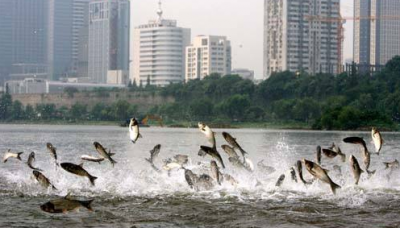 ������ˮ����ʲô���� ���������Ŵ��㲻ͣ������ˮ��Ԥʾʲô