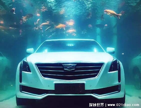 ��������׷�����¼�����ʵ���� ���˵İ�����±����ּ�������