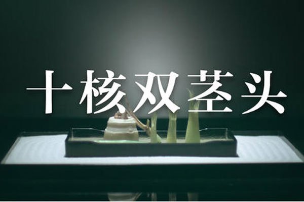 ʮ��˫��ͷΪʲô˵�� �������ֻ�ǣ��������ʫʫ
