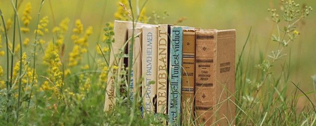 �е���ѩ������� ���ֲ²⣺�е���ѩ����δ�޵�ԭ��