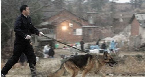 中国十大凶杀案真实案件 真实凶杀案例的故事概括