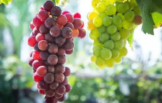 ��ͷ��ˮ���� Ӱ���Ĺ��ˮ����ͷ��ʲô����ᵹù