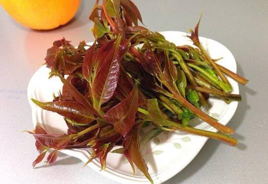 �㴻�����°�����ȷ�� ����ʳ���°����շǳ���