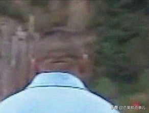 �������������Ĳ���Ӱ ����ɵɵ������������û��������ô��̨��