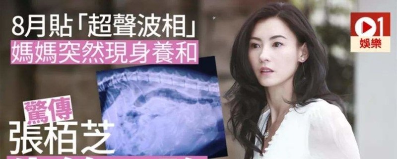 �Ű�֥����̥��˭�� ���ֲ²⣺�Ű�֥���ڵ��Ϲ���˭