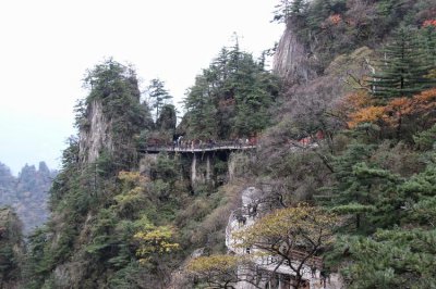 �Ͼ�ɽΪʲô��������˿��� ���»��أ�����˲���ȥ��ԭ��