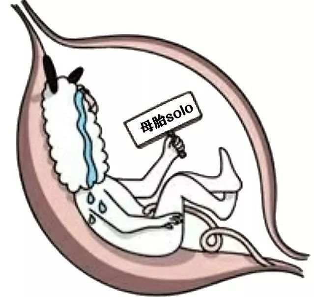 ĸ0��ʲô��˼ ���������ģ�˵һ����ĸ0�����˵���