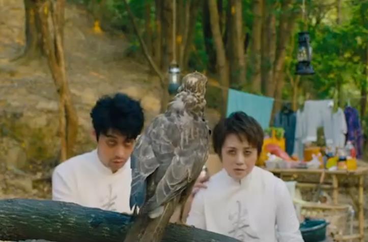 ��ӥ��ʲô��˼������ �ǳ����̣�Ϊʲô��ӥ����ӥ����Ļ�