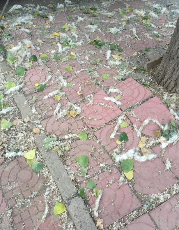 ���������µ�� ��Σ����������������ʲôӰ��