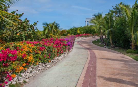 һ���߻�·ʲô��˼ ���㷺�������߻�·�������˭˵��