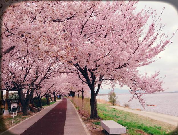 һ���߻�·ʲô��˼ ���㷺�������߻�·�������˭˵��