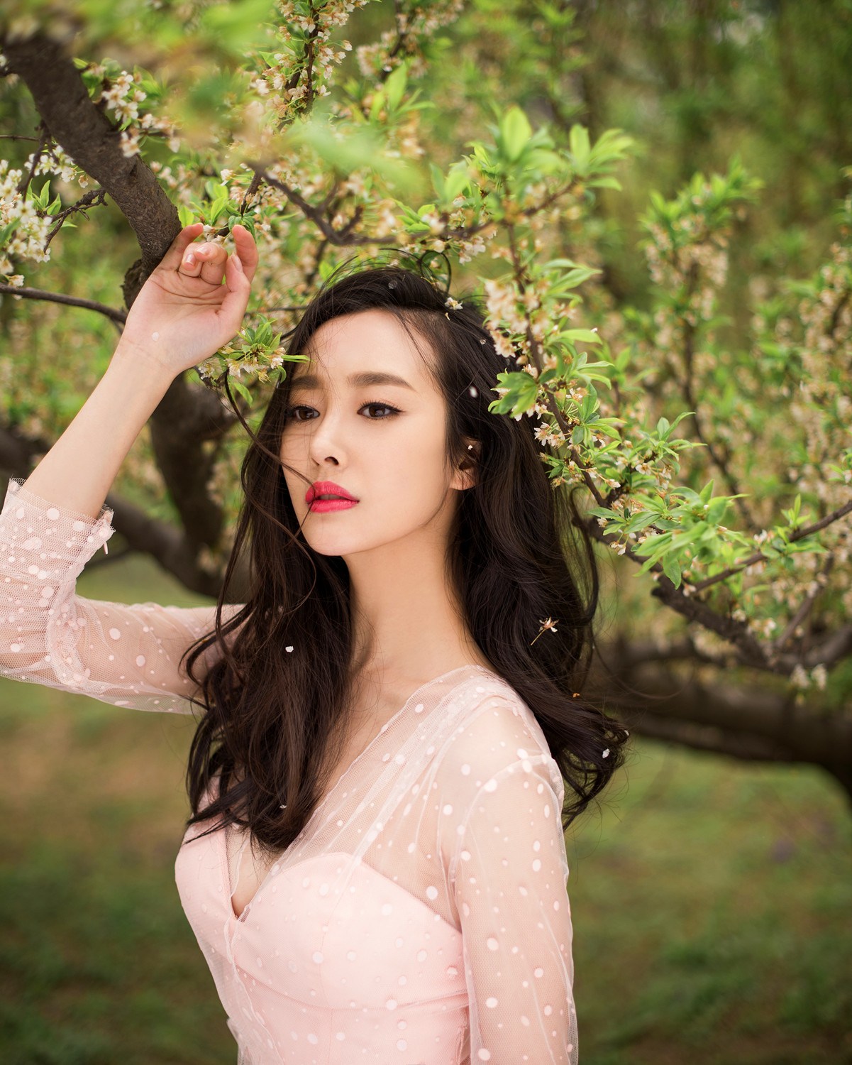 ���Ÿ���ƶȶԱ���Ƭ ��ô��ô�������׽�����