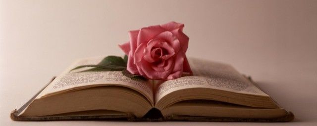 ȥ��̨ɽ��ʲô�ɻ� ����ע������