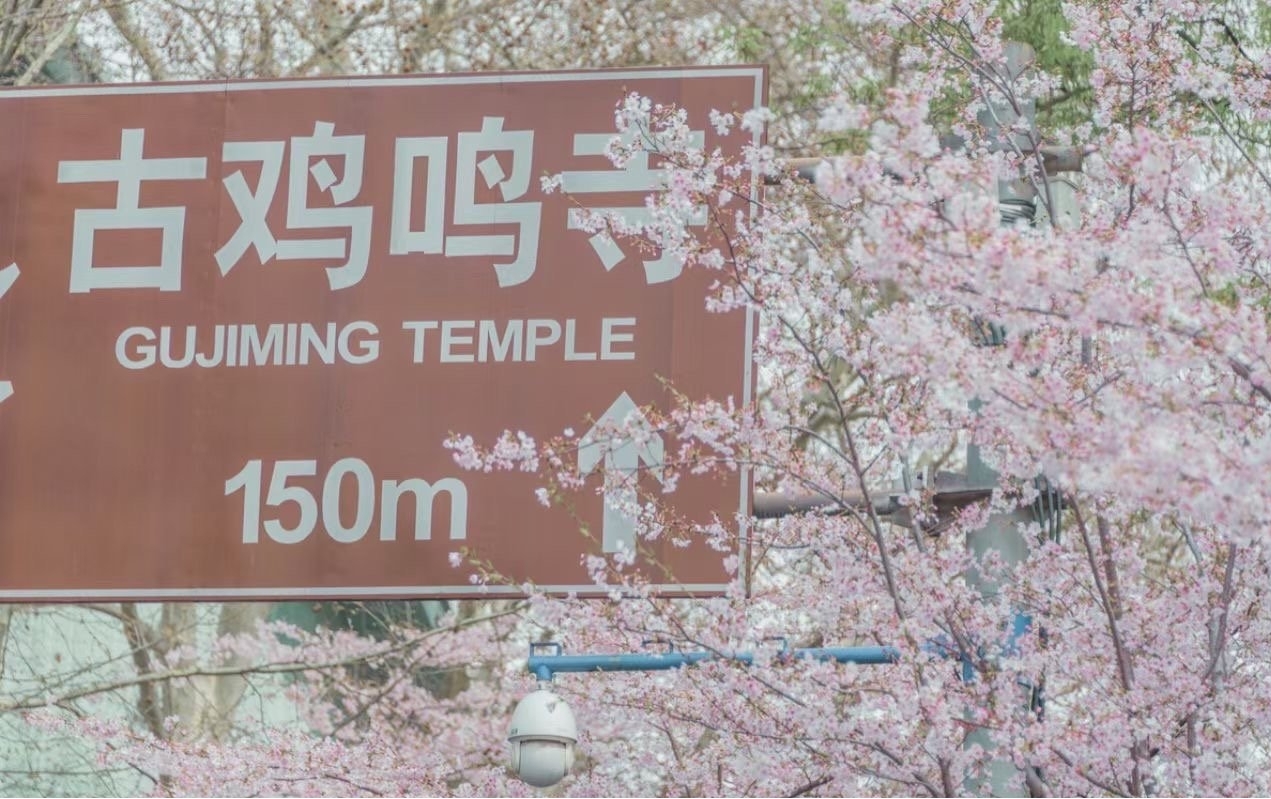 ��������ʲô������ �漣���֣������µ�ӣ��������ʲô��˼