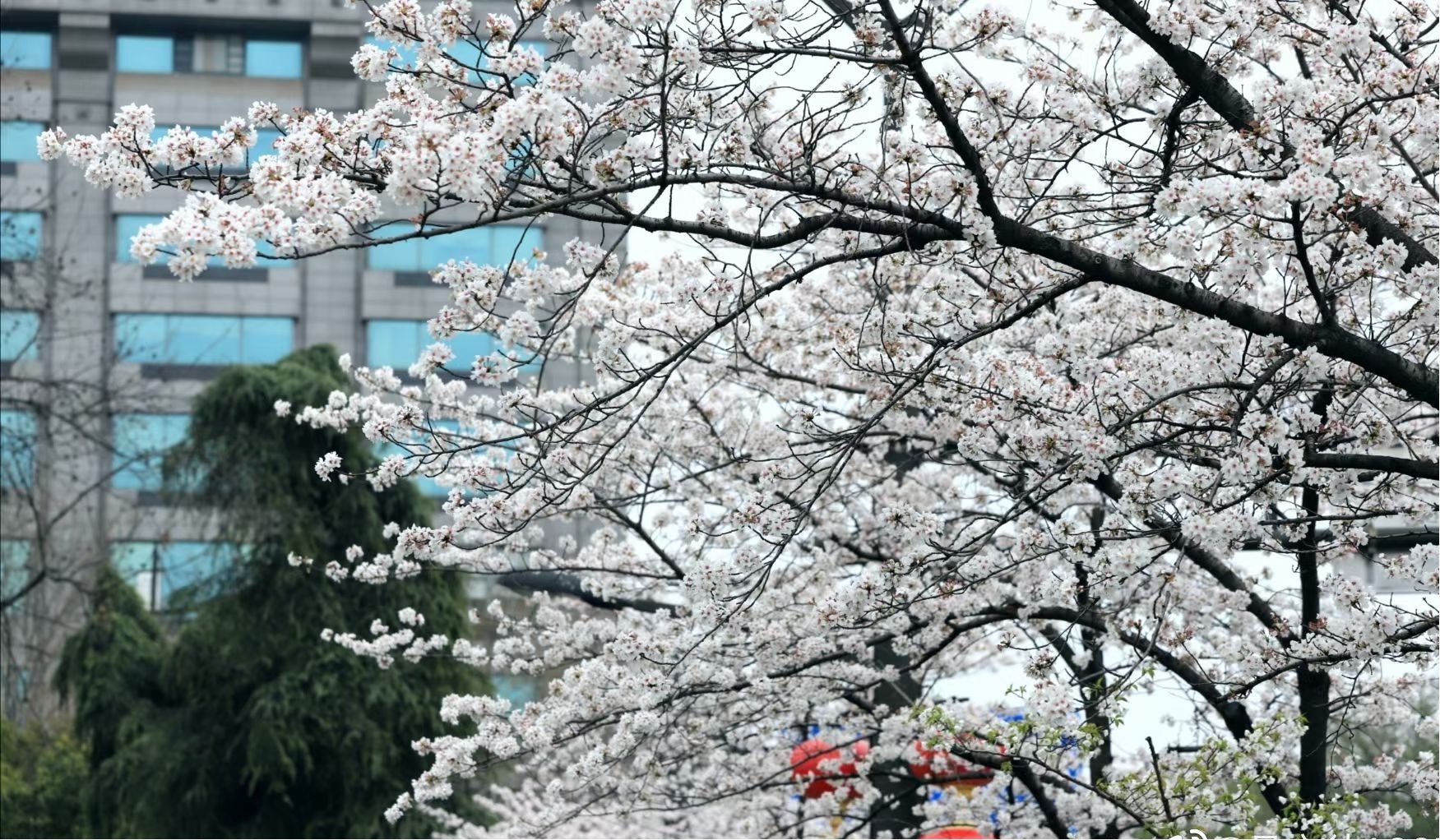 ��������ʲô������ �漣���֣������µ�ӣ��������ʲô��˼