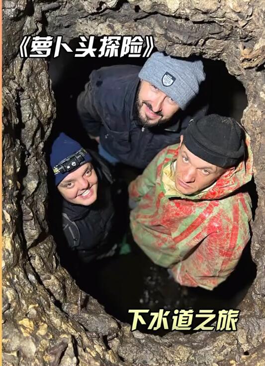 �ܲ�ͷ�������� Cynep cyc�ܲ�ͷ̽�պȺ˷�ˮ�����Ǻ���