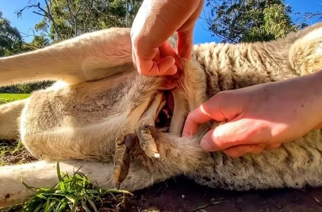 ����Ĵ����ж���� ��ɾ����������ڲ�ͼƬ������