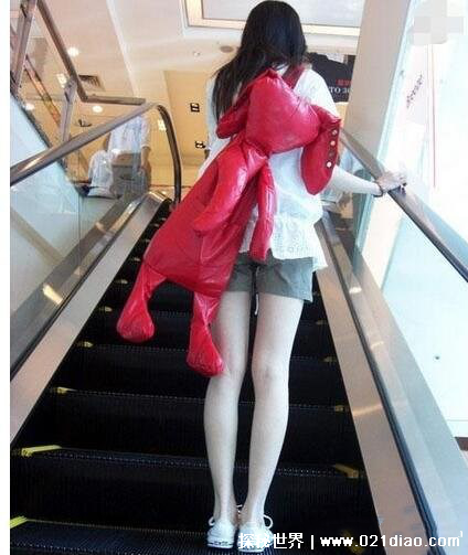 10��ֲ���Ƭ ȫ������ֲ�����Ƭ��С������