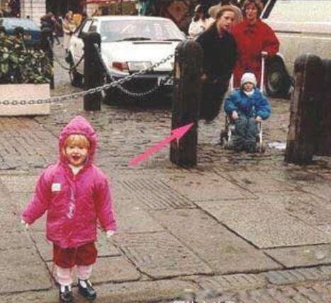 10��ֲ���Ƭ ȫ������ֲ�����Ƭ��С������