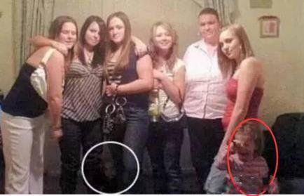 10��ֲ���Ƭ ȫ������ֲ�����Ƭ��С������