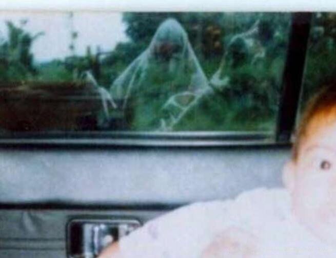 10��ֲ���Ƭ ȫ������ֲ�����Ƭ��С������