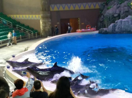 ��ʿ����Ʊ����Ǯһ�� ��Ʊ��Ϊ���ࣺ�۸�����